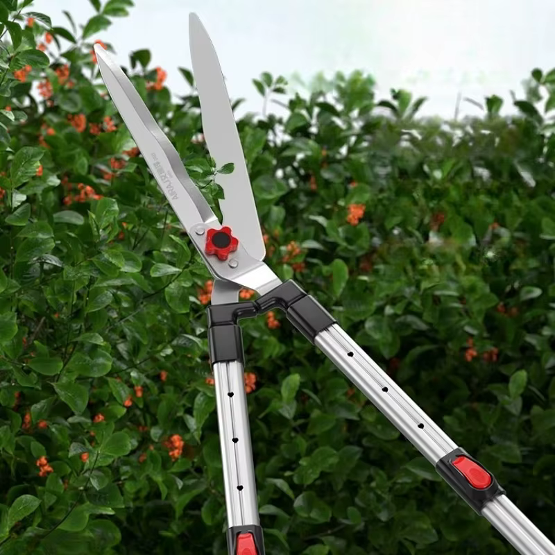 Sécateurs Spécifiques pour Jardinage en Cour