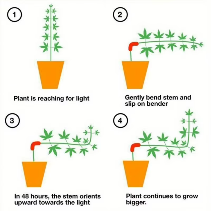 50 pinces de pliage pour plantes