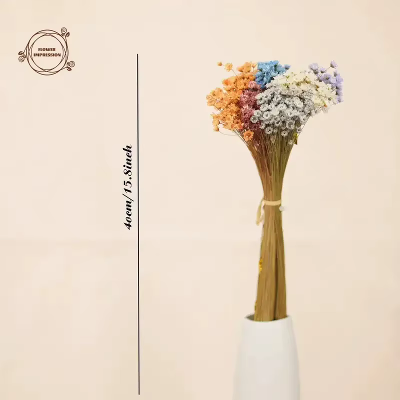 Petite étoile naturelle marguerite fleurs séchées décor de mariage