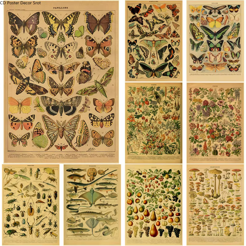Papillon insecte fleur champignon affiche botanique éducatif papier Kraft bricolage Vintage maison chambre Bar café décor Art mur peinture