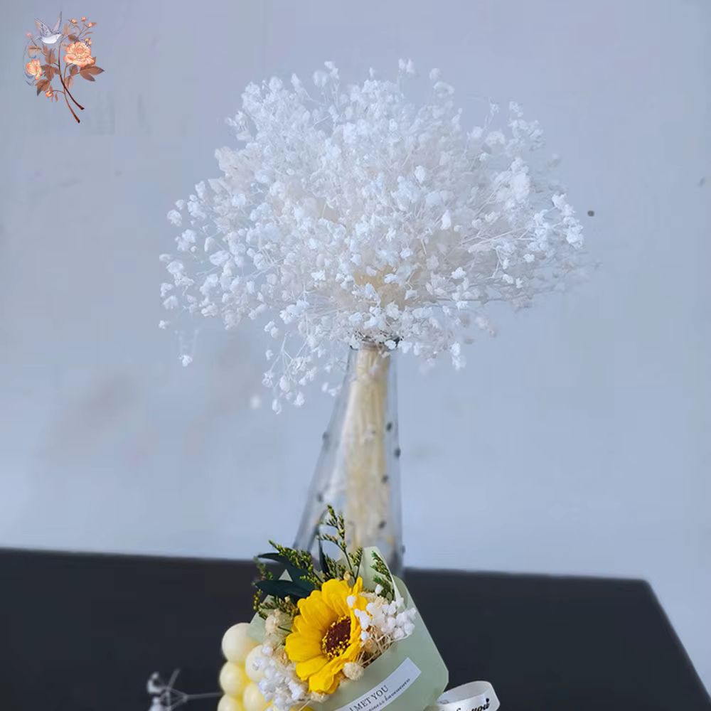 Fleurs de Gypsophile Blanches Séchées Naturelles