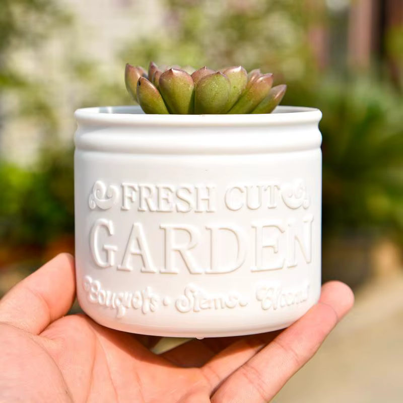 Pot de fleurs rond pour plantes succulentes