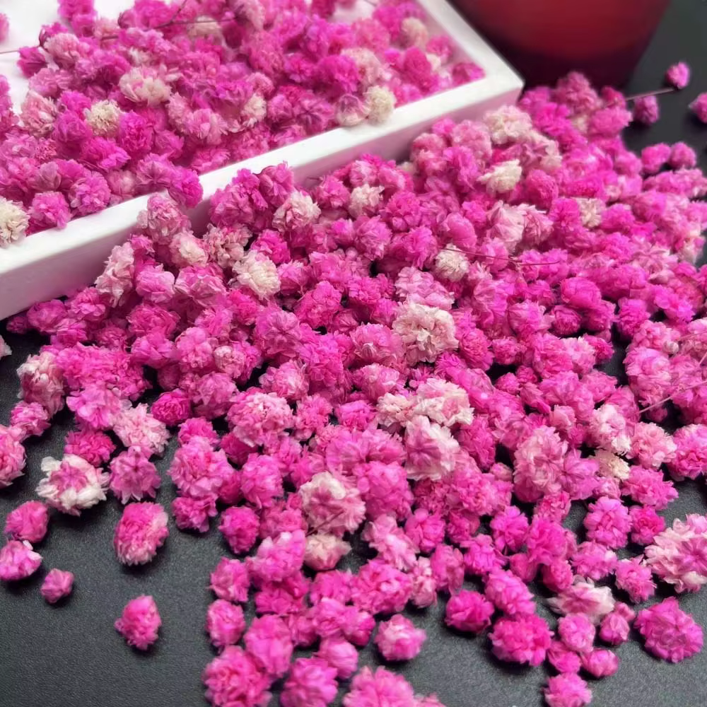 1 boîte de mélange de fleurs pour l'artisanat
