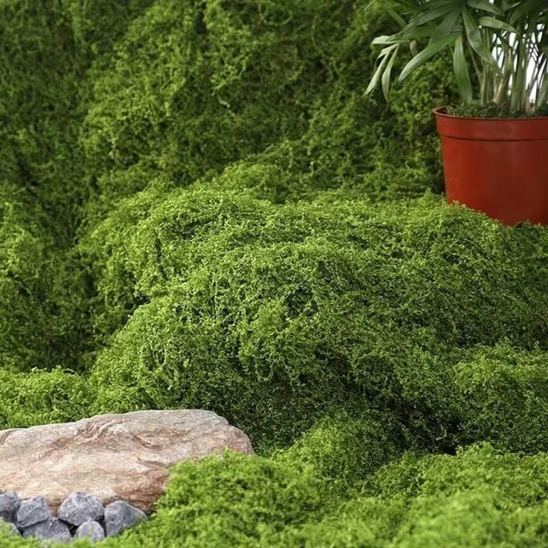 Mousse artificielle pour la décoration de micro-paysages