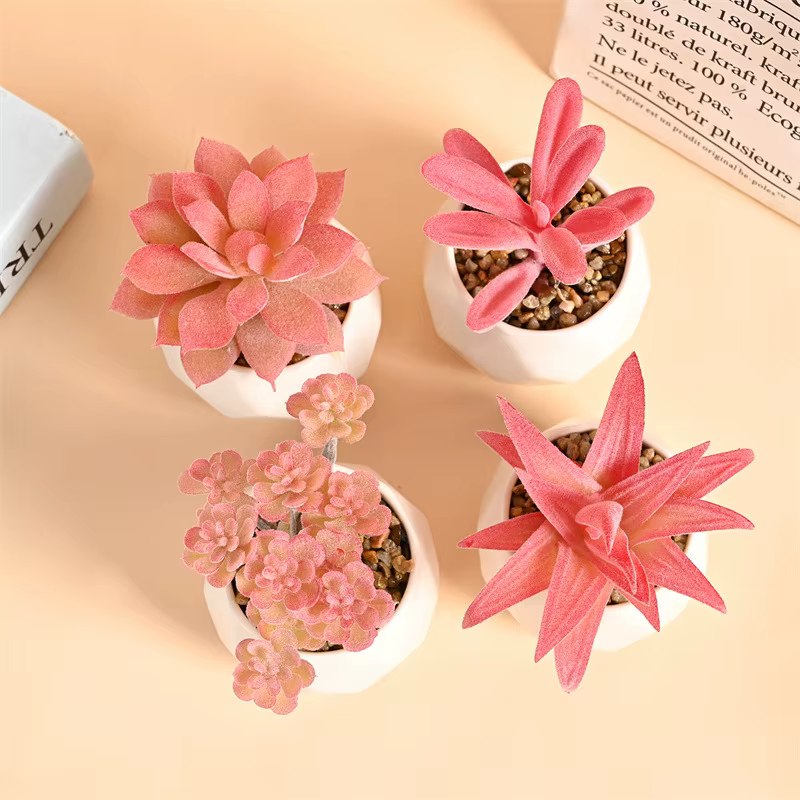 Ensemble de Mini plantes succulentes artificielles