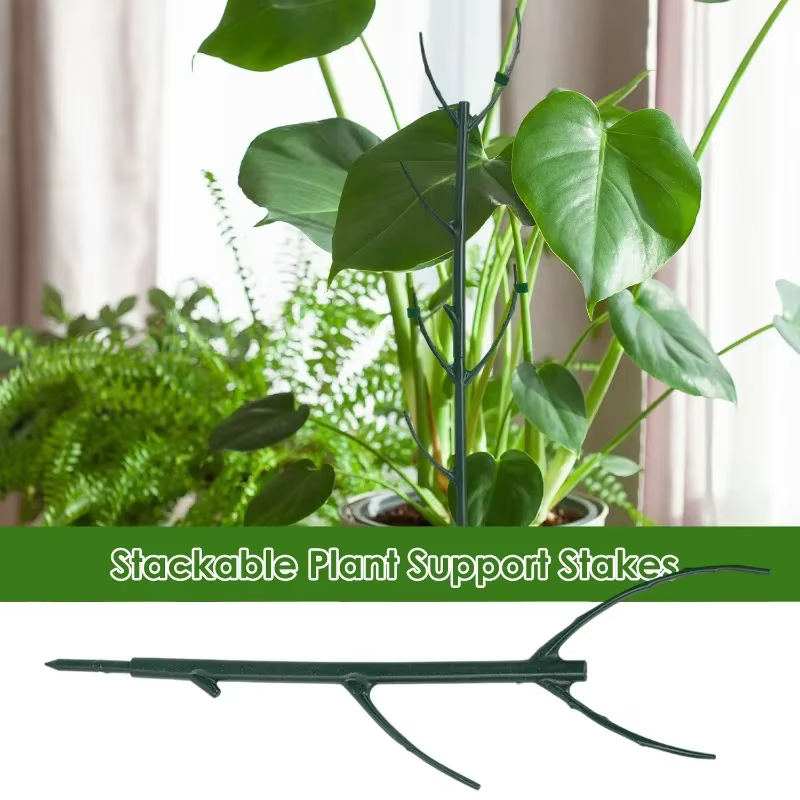 Piquets de Support pour plantes