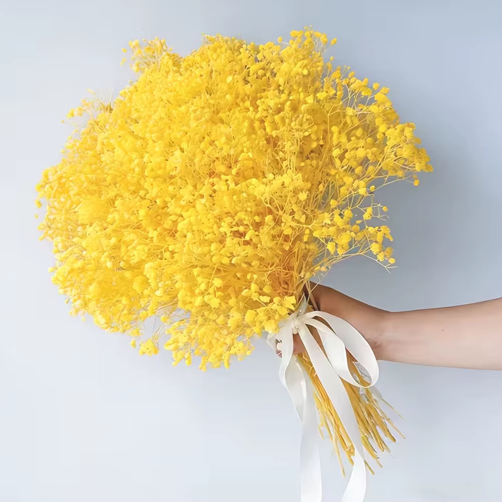 1 bouquet de fleurs séchées Gypsophile pour la décoration de mariage