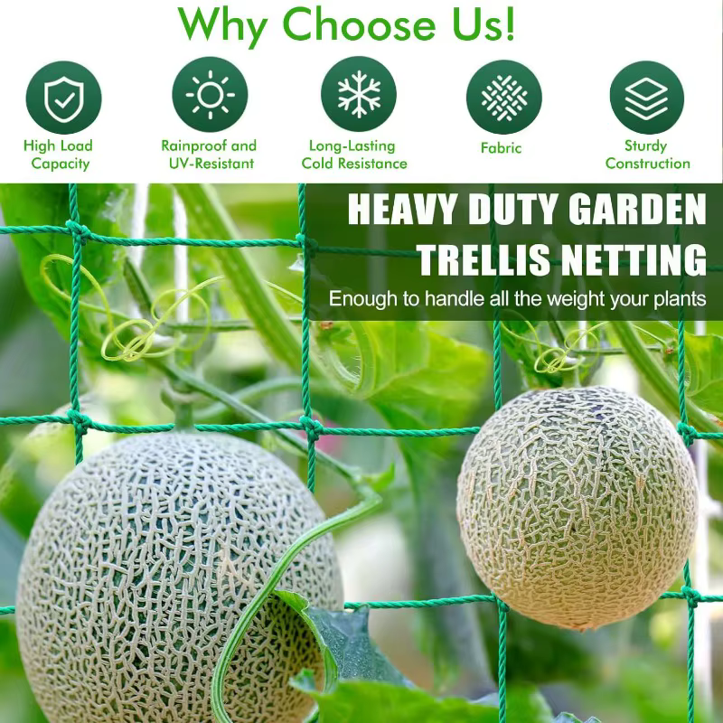 1 filet de jardin en nylon pour plantes grimpantes
