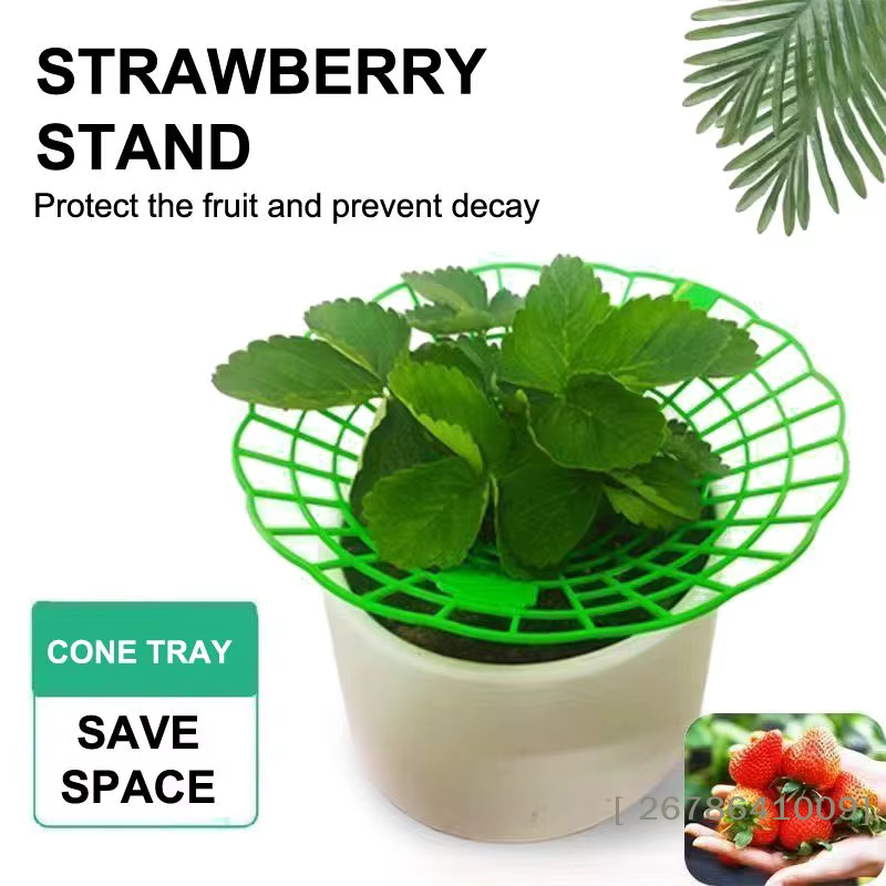 ⚑ Support pour plantes de fraises avec pieds