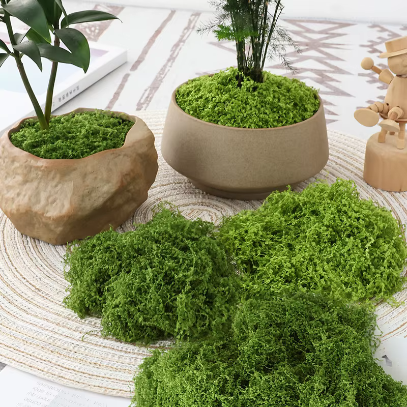 30/50/100g plantes vertes artificielles mousse herbe maison salon jardin décoration Mini paysage fausse fleur bricolage artisanat