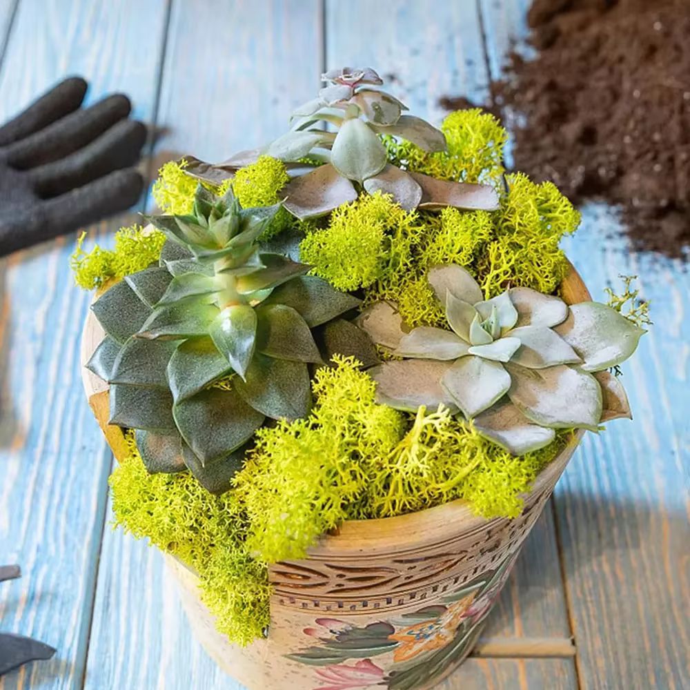 Mini paysage de fausses plantes artificielles