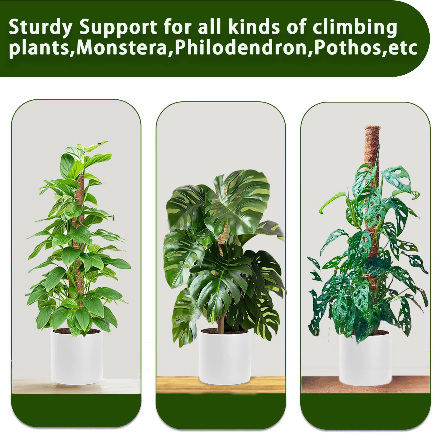 Lot de 4/8 piquets de soutien empilables pour plantes