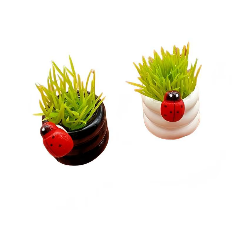 Ornement de plante miniature en pot avec coccinelle