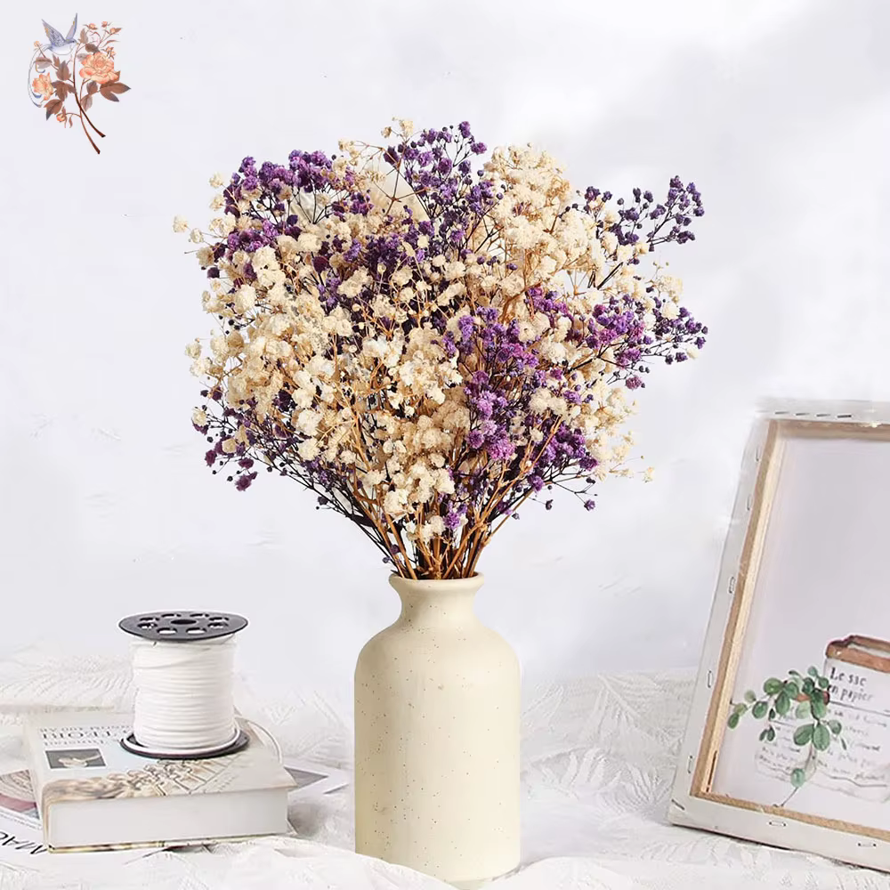 Bouquet de fleurs séchées naturelles Gypsophila (Souffle de bébé) 120g