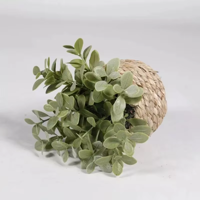Plante d'eucalyptus artificielle verte de 11 cm – Petite