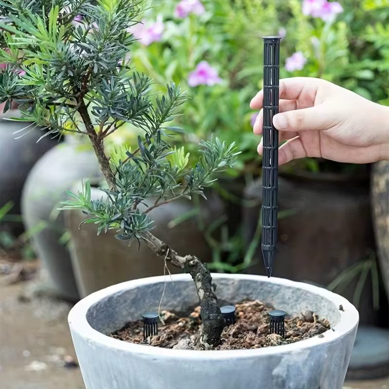 Solution contre l'excès d'eau! Tubes d'aération pour plantes