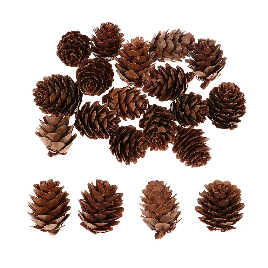 Pommes de pin décoratives naturelles