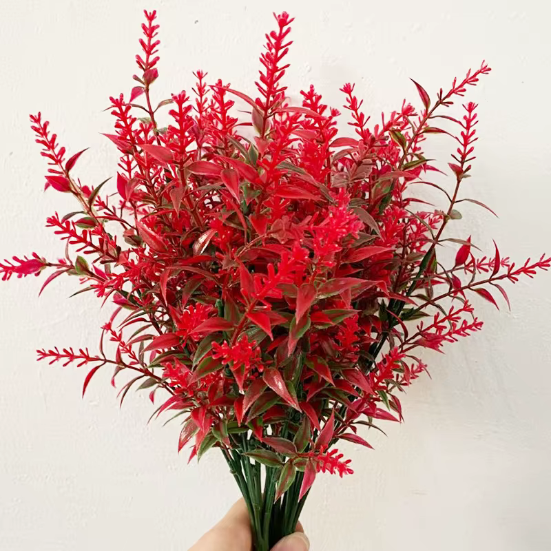 Plante verte lavande, bouquet d'herbe d'eau