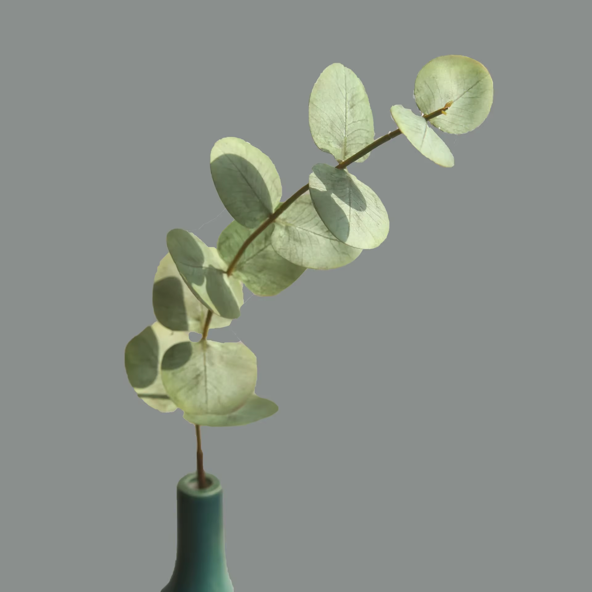 Feuilles d'eucalyptus artificielles au toucher réel