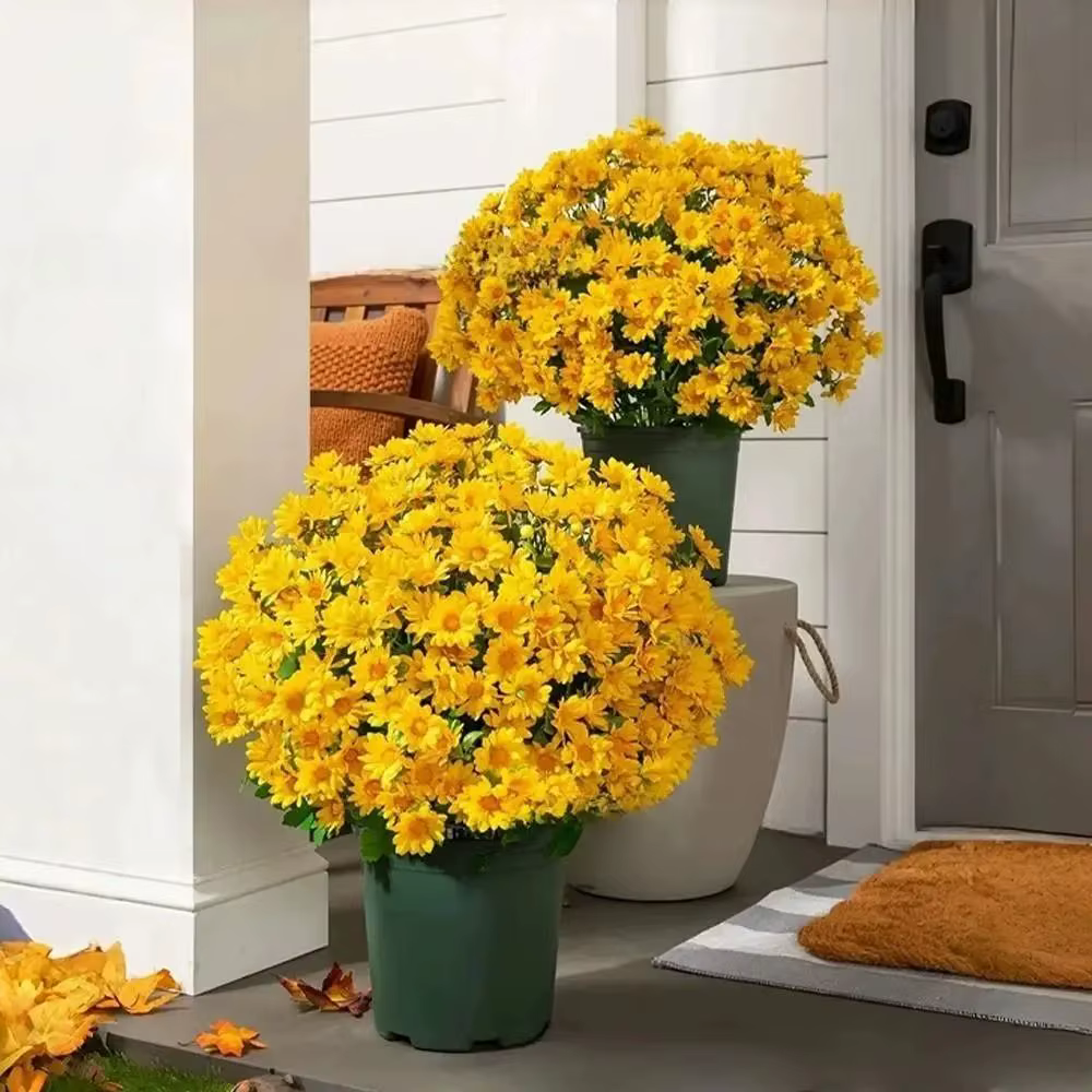 Bouquet de marguerites artificielles dégradées haute fidélité