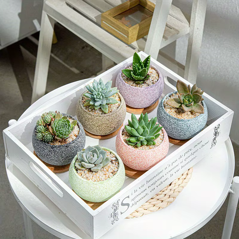 1pc Pot de fleur mignon jardinières succulentes créatives Pots de jardinage à la maison en céramique