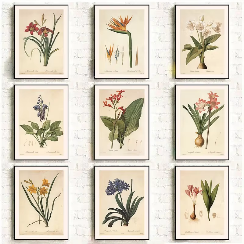 Affiche Murale Vintage Classique : Illustration de Plantes et Fleurs