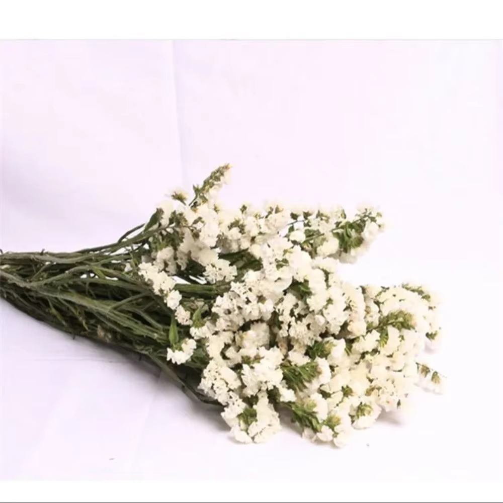 Bouquet de fleurs immortel pour la décoration intérieure