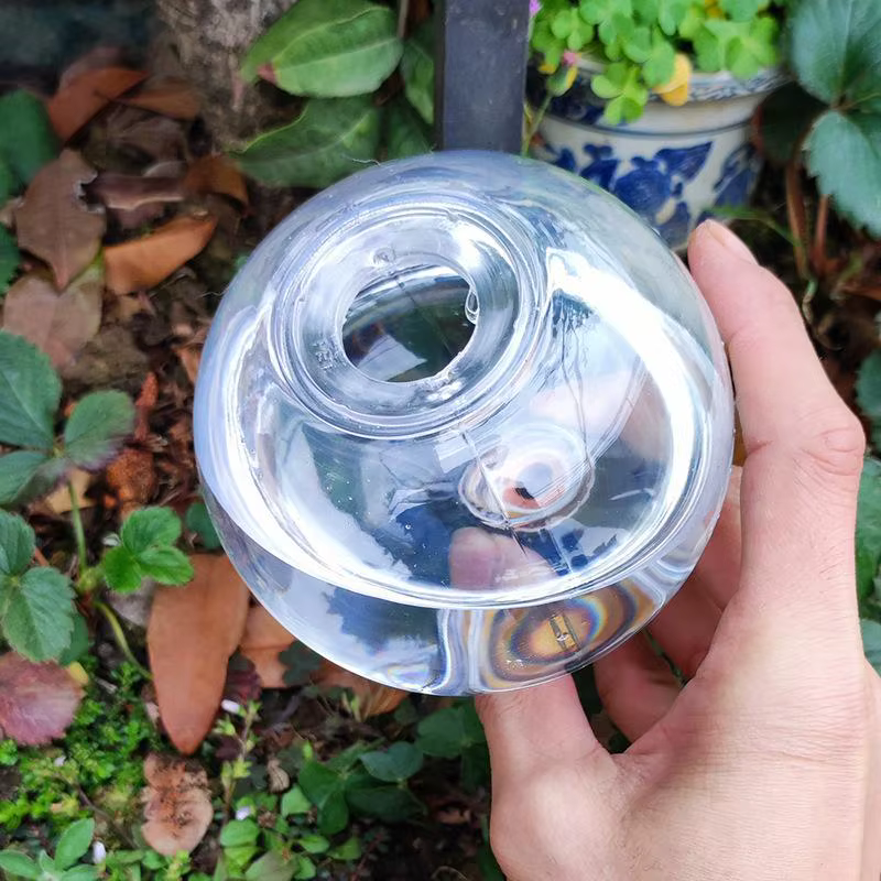 Système d'arrosage automatique 1 pièce pour plantes domestiques