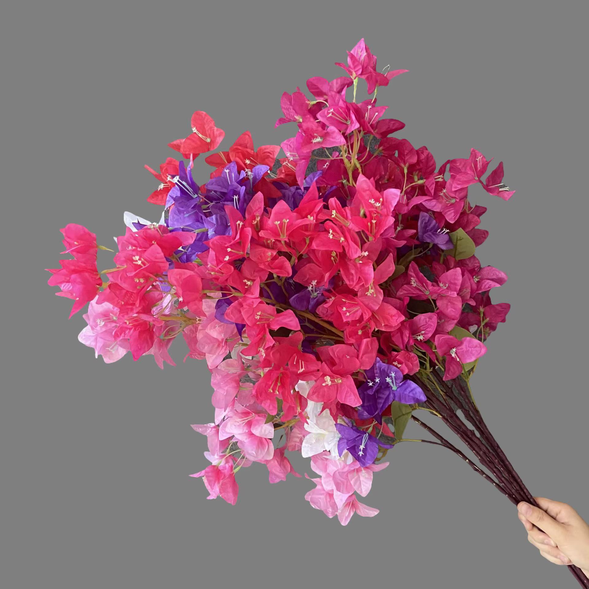 Simulation de Bouquet de bougainville