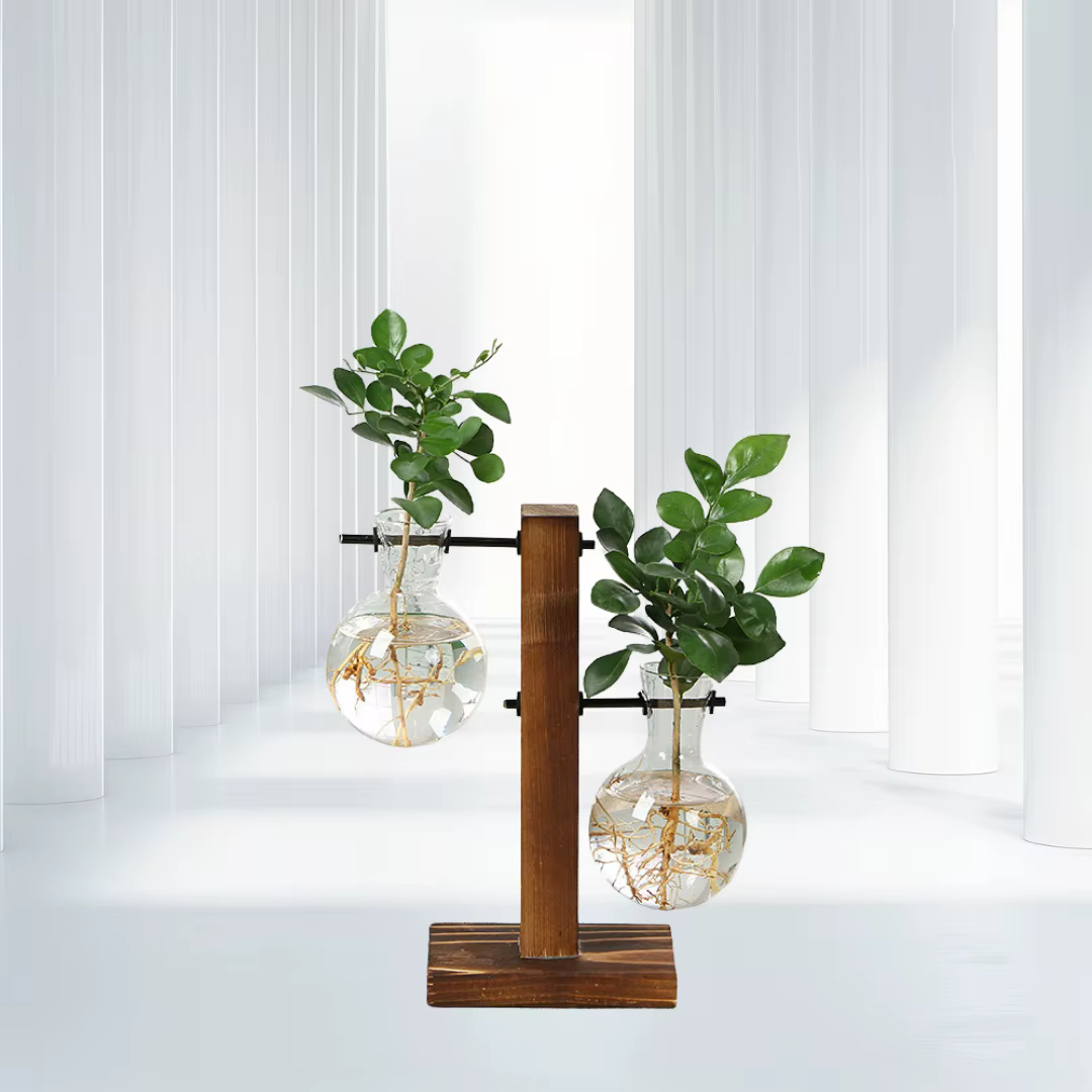 Vase à plantes hydroponiques avec cadre en bois, décoration de bureau, plante verte, petit Vase en verre en pot, conteneur d'arrangement floral