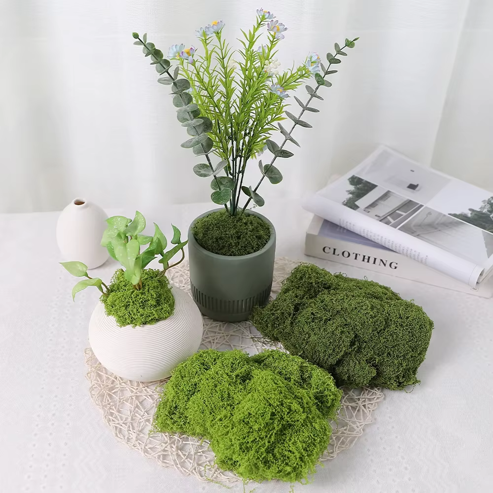 30/50/100g plantes vertes artificielles mousse herbe maison salon jardin décoration Mini paysage fausse fleur bricolage artisanat
