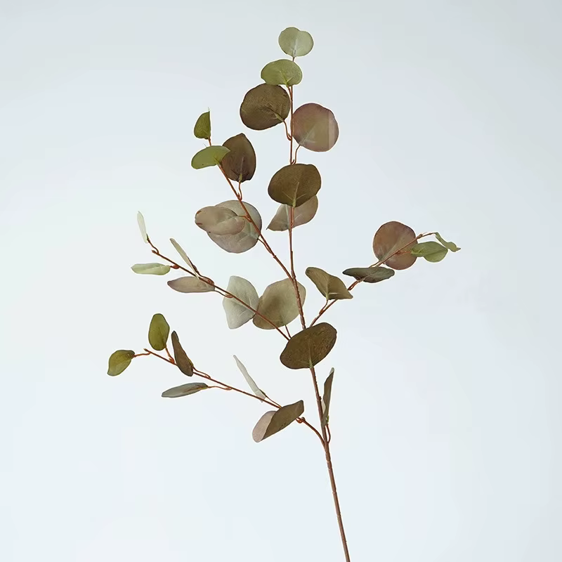 Simulation de feuille de pomme longue