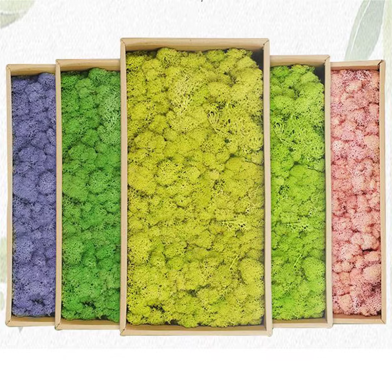 Plantes artificielles en mousse verte