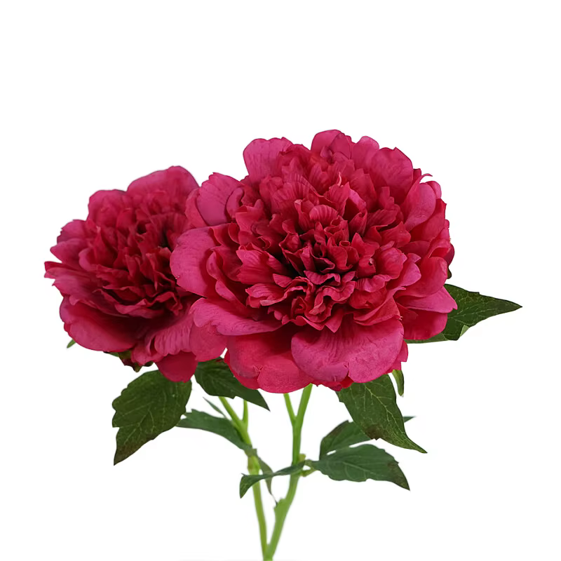 Fleurs de pivoines artificielles hydratantes au toucher réel