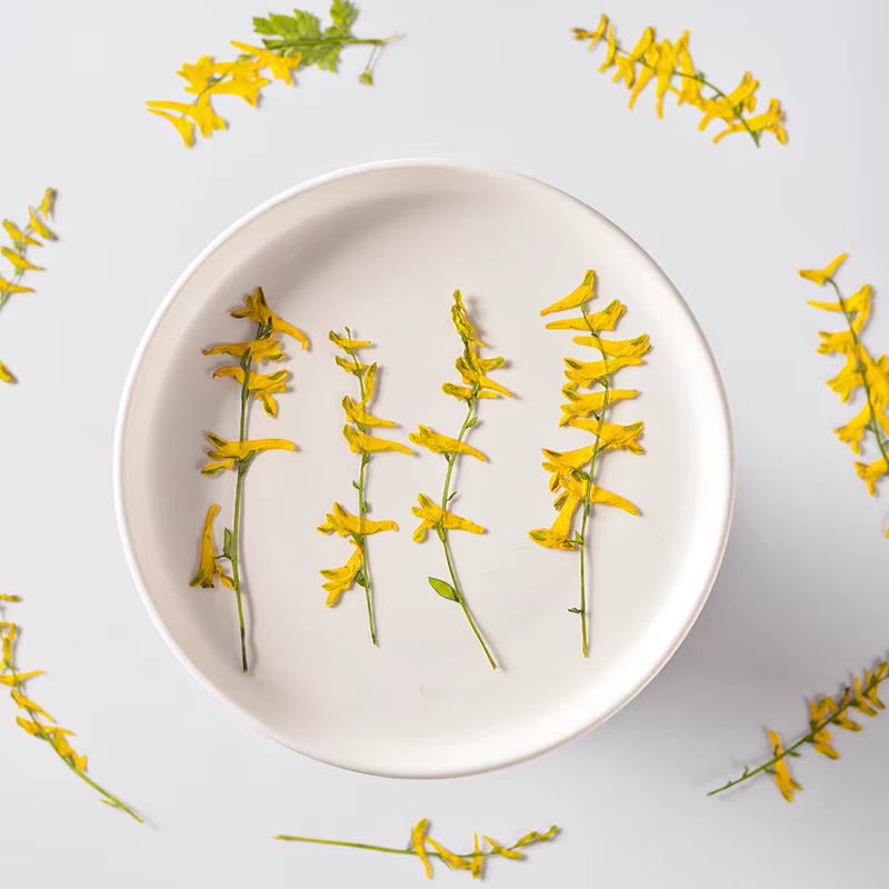 6 pièces/6-10 cm, fleurs séchées d'herbe de perroquet naturelles