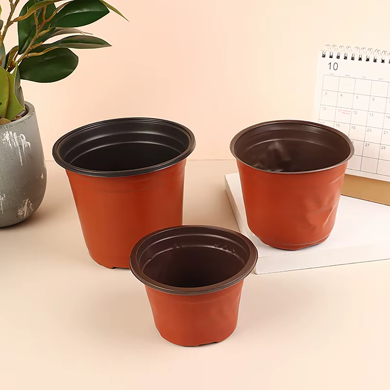 Pot de fleurs en plastique pour plantes succulentes