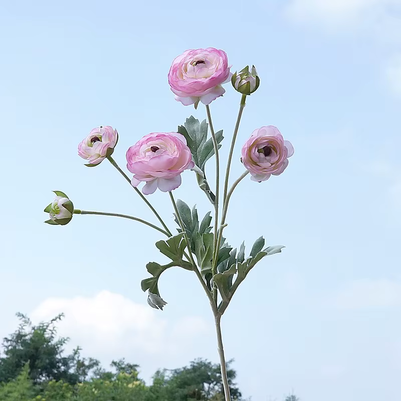 Fausses fleurs de Lotus camélia Ranunculus artificielles de 26.77 pouces