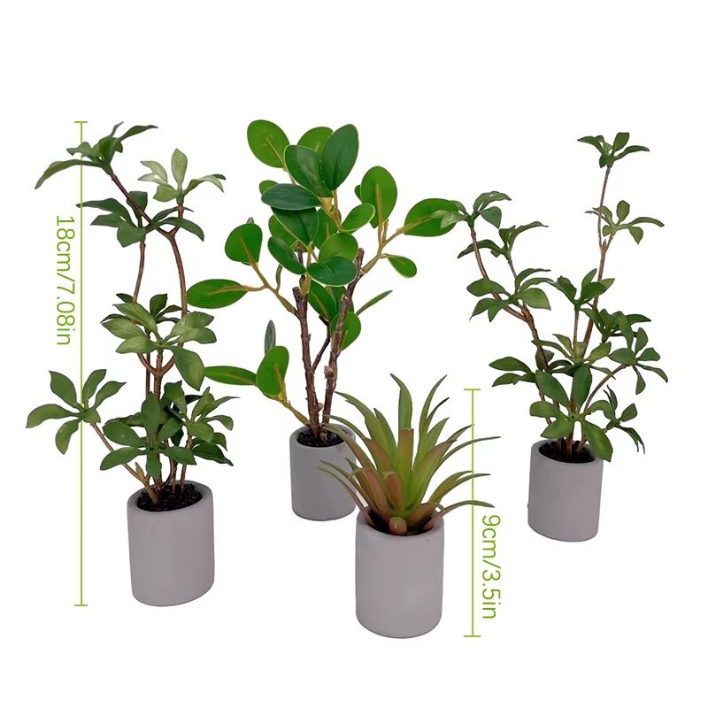 Plante en pot l'inventaire pour maison de courses