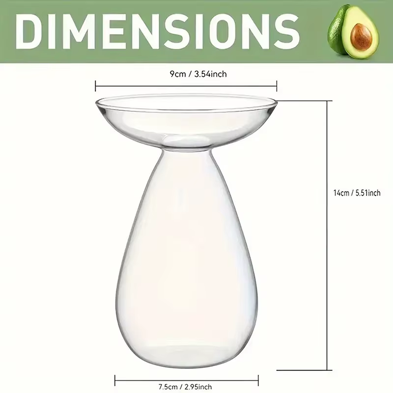 Vase hydroponique Transparent coloré d'avocat