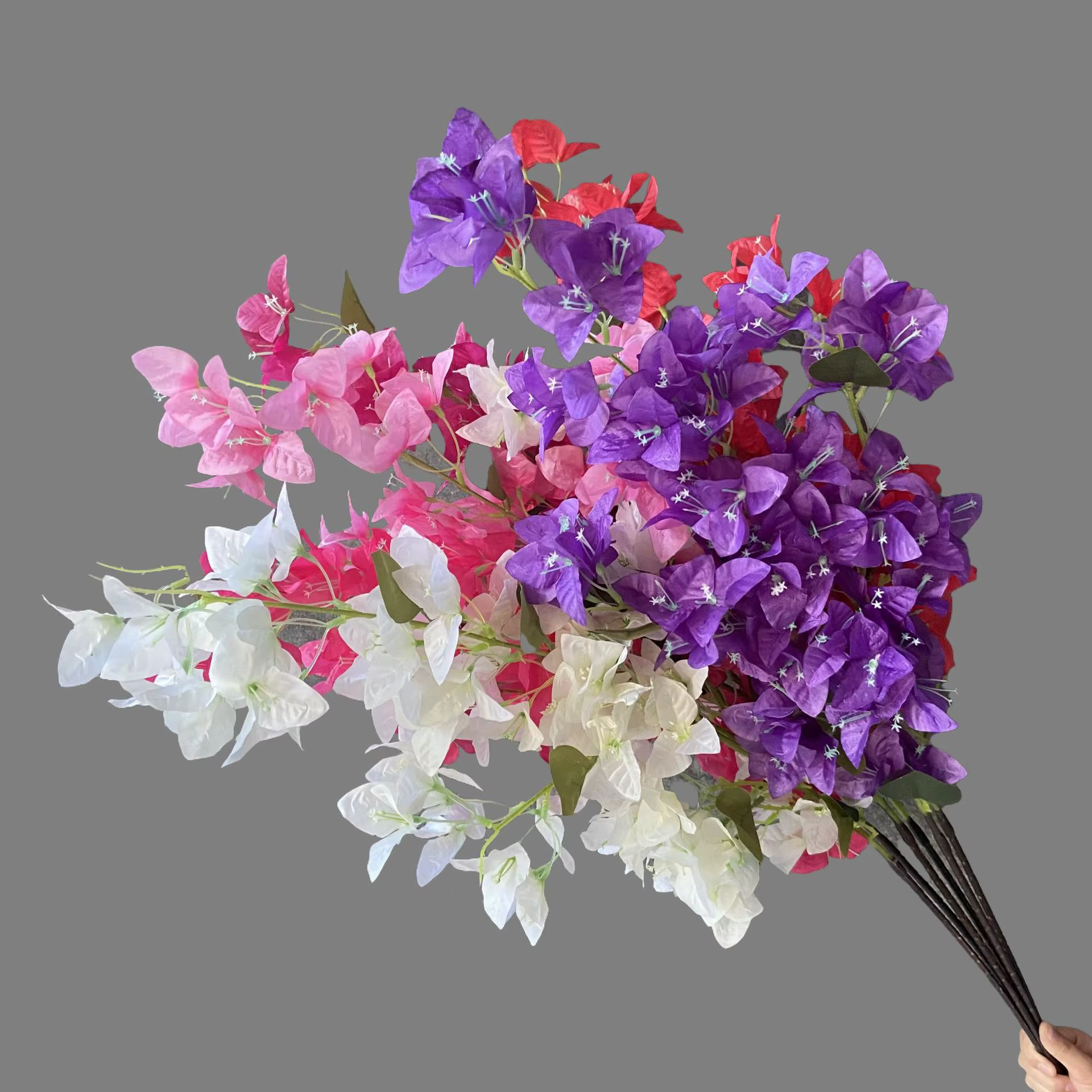 Simulation de Bouquet de bougainville