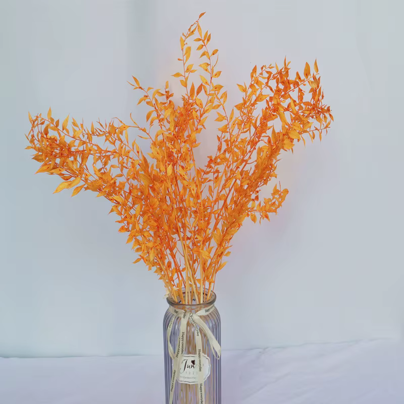Fleurs séchées naturelles pour la décoration de la maison et du jardin