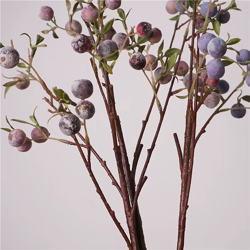 Ornements de fruits de jardinage