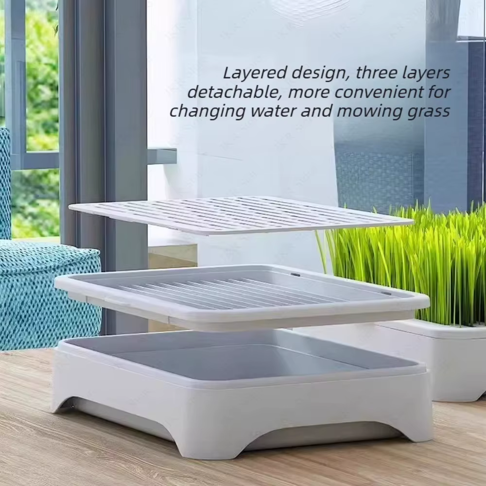 Pot de culture hydroponique sans terre pour herbe à chat d'intérieur