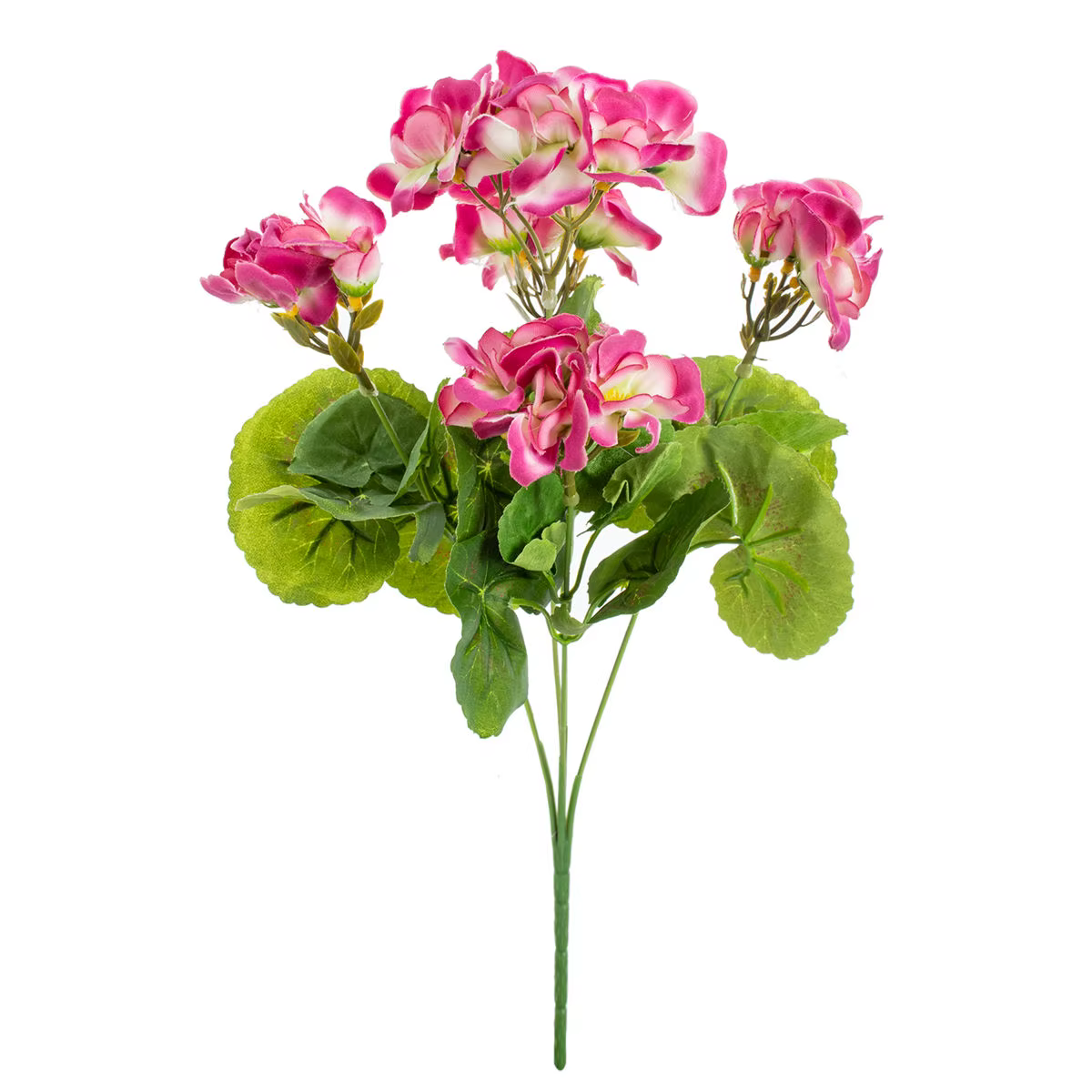 Simulation d'hortensia en géranium