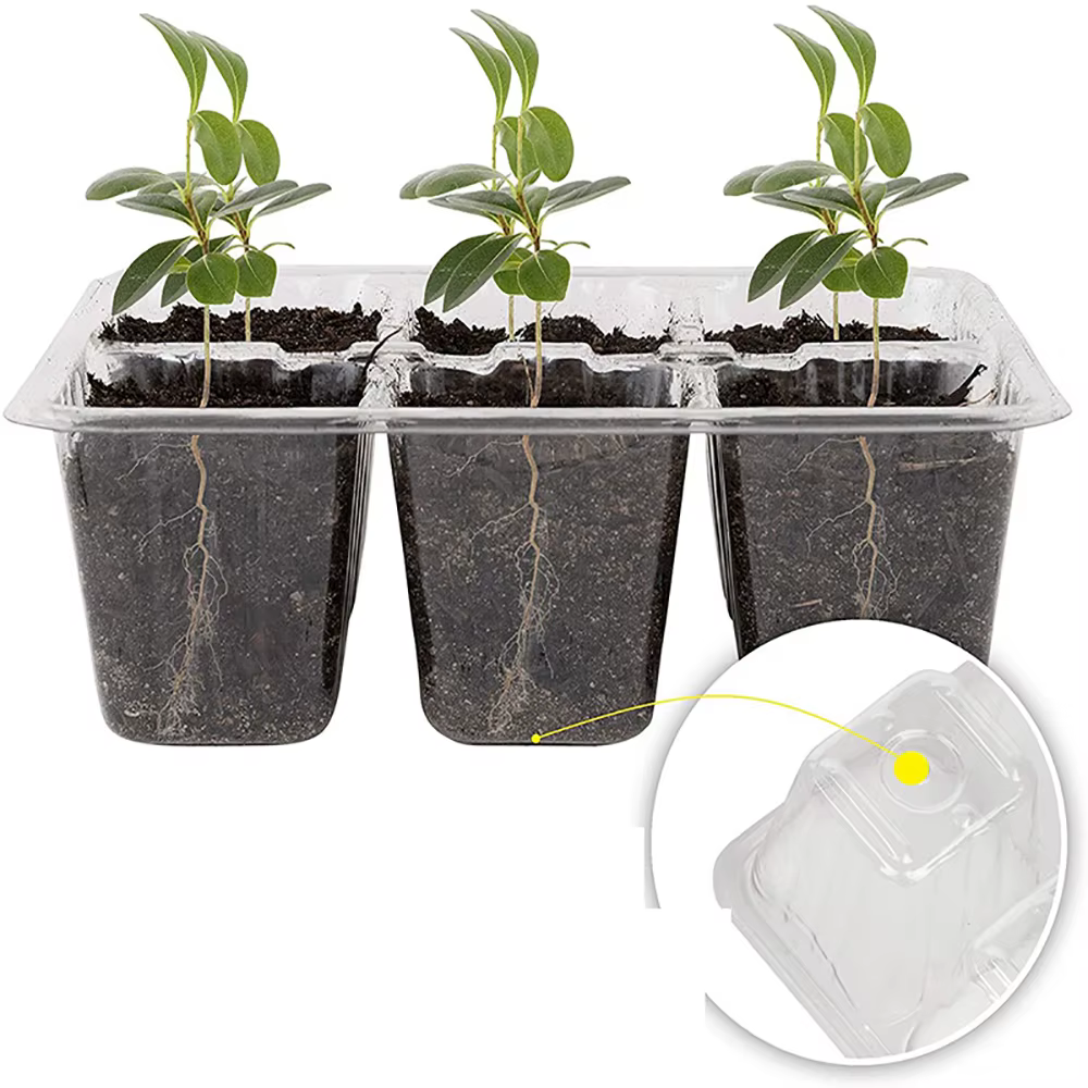 Pots de plantes en plastique à trous