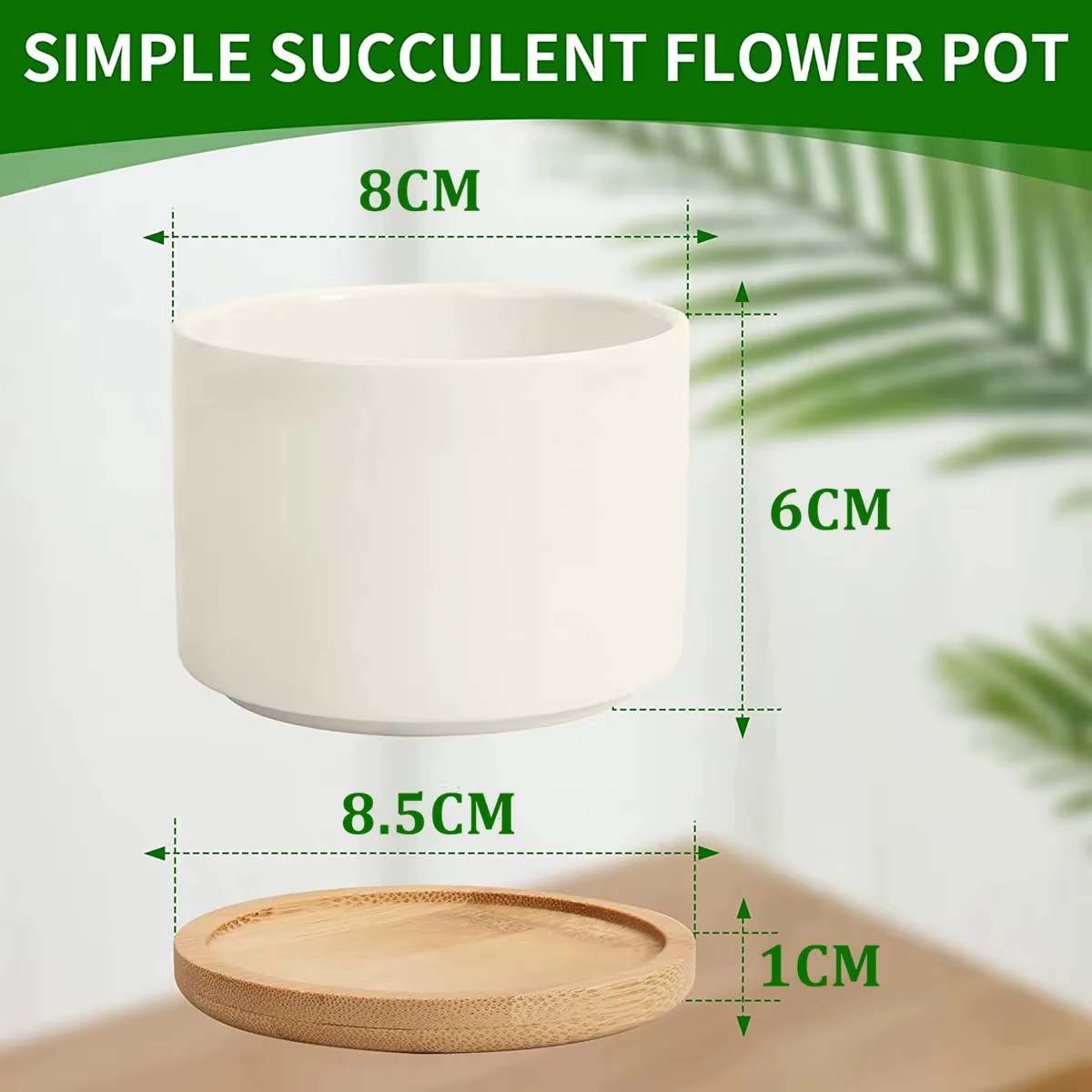 Jardinière succulente petit Pot