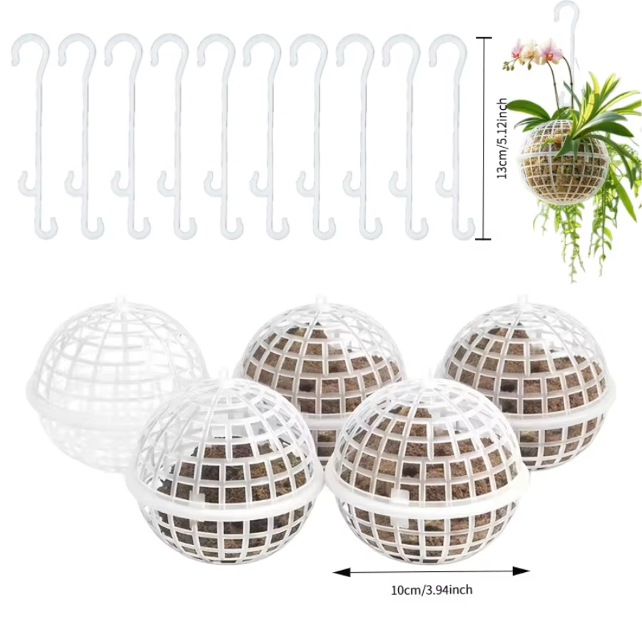 Ensemble de pots à fleurs en plastique à fixer au mur - spécialement conçus pour les orchidées succulentes et adaptés à la suspension comme pot de plante verte