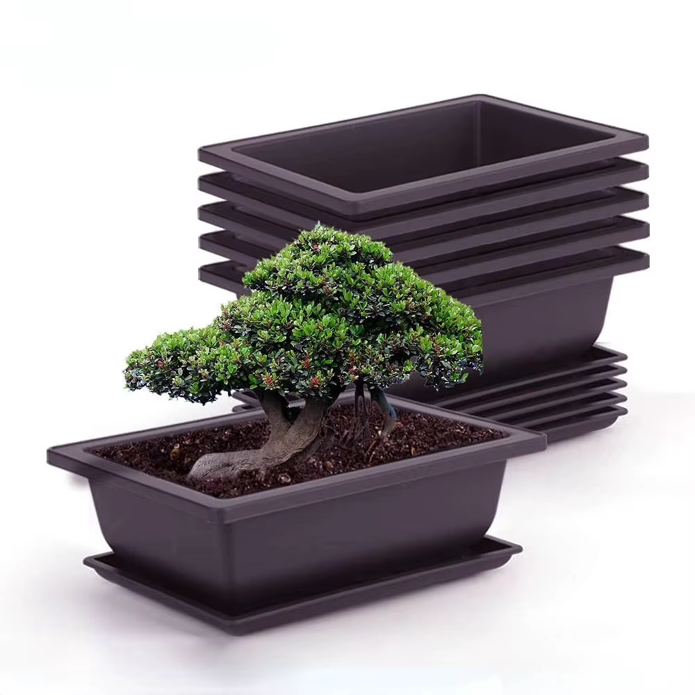 Pots d'entraînement avec escalade Pot de plantes bonsaï en plastique
