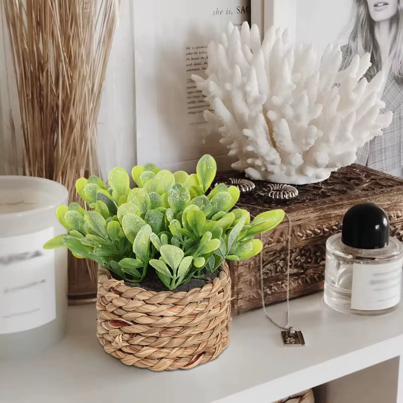 Plante en Pot petites fausses plantes