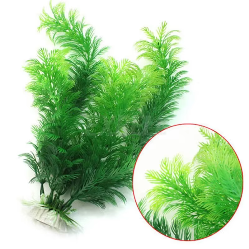 Plante de simulation d'aquarium